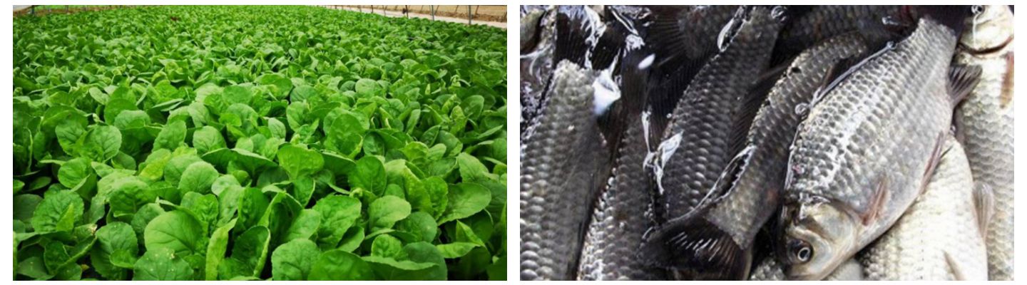 1000_副本_副本_副本_副本_副本.jpg 1000_副本_副本_副本_副本_副本.jpg